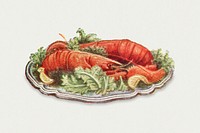 Vintage cooked lobster with vegetables design element