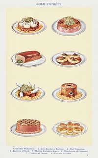 Cold Entr&eacute;e: Chicken M&eacute;daillons, Cold Border of Salmon, Beef Galantine, Zephires of Duck, Mutton Cutlets in Aspic, Chartreuse of Pheasant, Timbale of Turbot, and Chicken Darioles from <a href="https://www.rawpixel.com/search/Mrs.%20Beeton%27s%20Book%20of%20Household%20Management?sort=curated&amp;page=1">Mrs. 