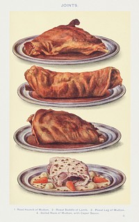 Vintage food illustrations of roast haunch of mutton, roast saddle of lamb, roast leg of mutton, and boiled neck of mutton with caper sauce design resources