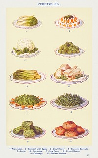 Vintage vegetables illustrations of asparagus, spinach with eggs, cauliflower, brussels sprouts, leeks, parsnips, new peas, french beans, cabbage, and braised onions design resources