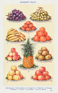 Dessert Fruit: Black Grapes, Muscat Grapes, Tangerines, Bananas, Oranges, Peaches, Pears, Pineapple, and Apples from Mrs. Beeton's Book of Household Management. Digitally enhanced from our own 1923 edition. 