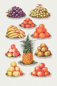 Vintage hand drawn dessert fruit illustrations of black grapes, muscat grapes, tangerines, bananas, oranges, peaches, pears, pineapple, and apples design resources