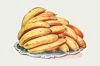 Vintage hand drawn bananas design element