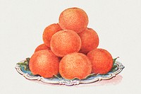 Vintage hand drawn oranges illustration