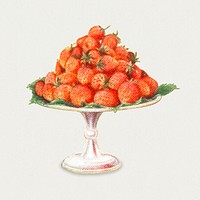Vintage hand drawn strawberries illustration
