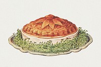 Vintage hand drawn pigeon pie illustration