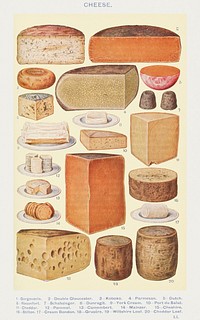 Cheeses: Gorgonzola, Double Gloucester, Koboko, Parmesan, Dutch, Roquefort, Schabziger, Dunragit, York Cream, Port du Salut, Cheddar, Pommel, Camembert, Mainzer, Cheshire, Stilton, Cream Bondon, Gruy&egrave;re, Wiltshire Loaf, and Cheddar Loaf from <a href="https://www.rawpixel.com/search/Mrs.%20Beeton%27s%20Book%20of%20Household%20Management?sort=curated&amp;page=1">Mrs. 