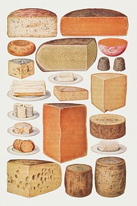 Vintage set of cheese design resources