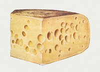 Vintage hand drawn gruyère cheese design element