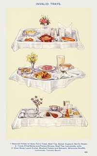 Invalid Trays: Steamed Fillets of Sole, Fairy Toast, Beef Tea, Baked Custard, Barley Water and etc. from <a href="https://www.rawpixel.com/search/Mrs.%20Beeton%27s%20Book%20of%20Household%20Management?sort=curated&amp;page=1">Mrs. Beeton&#39;s Book of Household Management</a>. Digitally enhanced from our own 1923 edition. 