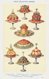 Vintage cold collation dishes of cutlets and peas, stuffed larks in cases, prawns en bouquet, raised game pie, pigeon pie, lamb cutlets, chicken creams, and plover's eggs design resources