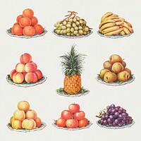 Hand drawn set of ripe fruits desing resources