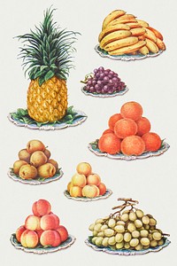 Hand drawn set of fruits design resources 
