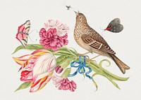 The 18th century illustration of a bouquet of two carnations and a tulip bound by a blue ribbon; bird perched on tulip; butterflies and insect fly above. Original from The Smithsonian. Digitally enhanced by rawpixel.
