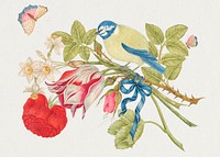 The 18th century illustration of a yellow and blue bird on bouquet with rose, tulips, and daffodils, with butterflies. Original from The Smithsonian. Digitally enhanced by rawpixel.