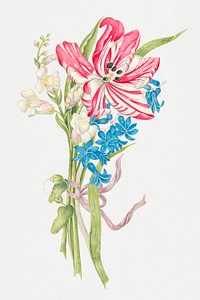 Vintage flowers illustration, remixed from the 18th-century artworks from the Smithsonian archive.