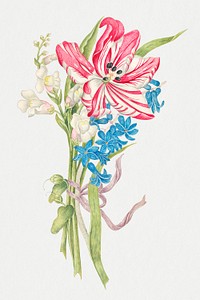 Vintage flowers psd illustration, remixed from the 18th-century artworks from the Smithsonian archive.