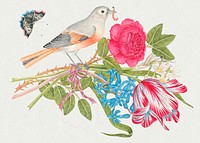 Vintage bird and flowers psd illustration, remixed from the 18th-century artworks from the Smithsonian archive.