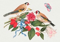 Vintage birds and berries psd illustration, remixed from the 18th-century artworks from the Smithsonian archive.