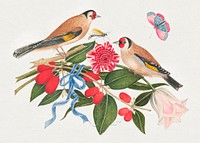 The 18th century illustration of pair of brown birds with blossoms, berries, and a butterfly. Original from The Smithsonian. Digitally enhanced by rawpixel.