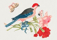 Vintage bird and flowers psd illustration, remixed from the 18th-century artworks from the Smithsonian archive.