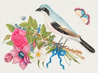 The 18th century illustration of a blue bird on a bouquet of roses and tulips with butterflies. Original from The Smithsonian. Digitally enhanced by rawpixel.