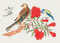 The 18th century illustration of brown and black bird and blue and yellow birds on branch with red blossoms hunting insects. Original from The Smithsonian. Digitally enhanced by rawpixel.