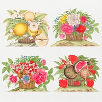 Vintage basket of flowers and fruits psd illustration set, remixed from the 18th-century artworks from the Smithsonian archive.