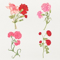 Vintage flowers psd illustration set, remixed from the 18th-century artworks from the Smithsonian archive.