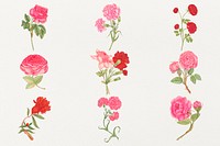 Vintage flowers psd illustration set, remixed from the 18th-century artworks from the Smithsonian archive.