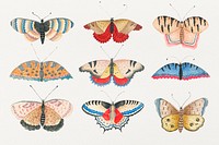 Vintage butterfly and moth watercolor psd illustration set, remixed from the 18th-century artworks from the Smithsonian archive.