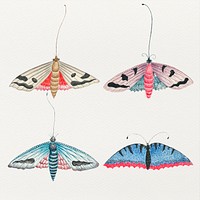 Vintage butterfly and moth watercolor illustration set, remixed from the 18th-century artworks from the Smithsonian archive.