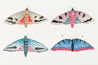 Vintage butterfly and moth watercolor illustration set, remixed from the 18th-century artworks from the Smithsonian archive.