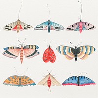 Butterfly and moth vintage watercolor psd illustration set, remixed from the 18th-century artworks from the Smithsonian archive.