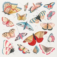 Psd vintage butterfly and moth watercolor set, remixed from the 18th-century artworks from the Smithsonian archive.