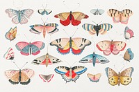 Vintage butterfly and moth watercolor psd illustration set, remixed from the 18th-century artworks from the Smithsonian archive.