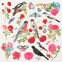 Vintage birds and flowers psd illustration set, remixed from the 18th-century artworks from the Smithsonian archive.