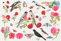 Vintage birds and flowers psd illustration set, remixed from the 18th-century artworks from the Smithsonian archive.