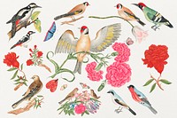 Vintage birds and flowers psd illustration set, remixed from the 18th-century artworks from the Smithsonian archive.
