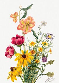 Group of Flowers (1881) by <a href="https://www.rawpixel.com/search/Mary%20Vaux%20Walcott?sort=curated&amp;page=1">Mary Vaux Walcott</a>. Original from The Smithsonian. Digitally enhanced by rawpixel.