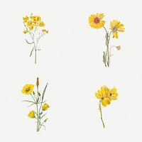 Blooming hand drawn yellow flowers psd illustration set
