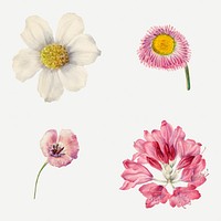 Vintage wild flowers psd illustration floral drawing set
