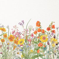 Vintage blooming flower illustration background