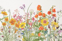 Wild colorful flower illustration vintage background