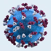 A 3D illustration of a spherical-shaped, measles virus particle that was studded with glycoprotein tubercles 
