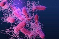 A medical illustration of drug&ndash;resistant, nontyphoidal, Salmonella sp. bacteria. Original image sourced from US Government department: Public Health Image Library, <a href="https://www.rawpixel.com/search/cdc?sort=curated&amp;page=1">Centers for Disease Control and Prevention</a>. Under US law this image is copyright free, please credit the government department whenever you can&rdquo;.