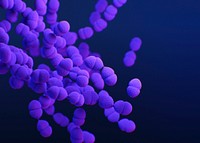 A medical illustration of drug&ndash;resistant, Streptococcus pneumoniae bacteria. Original image sourced from US Government department: Public Health Image Library, <a href="https://www.rawpixel.com/search/cdc?sort=curated&amp;page=1">Centers for Disease Control and Prevention</a>. Under US law this image is copyright free, please credit the government department whenever you can&rdquo;.