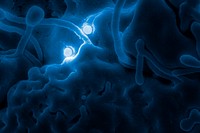 Ultrastructural morphology shown by coronavirus 2019-nCoV