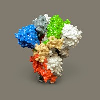 3D print of a spike protein on the surface of SARS-CoV-2