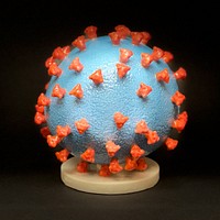 3D print of a SARS-CoV-2&mdash;also known as 2019-nCoV. Original image sourced from US Government department: The National Institute of Allergy and Infectious Diseases. Under US law this image is copyright free, please credit the government department whenever you can&rdquo;.